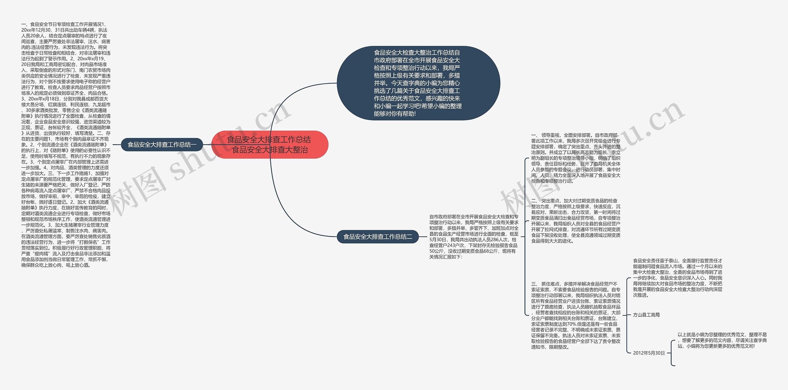 食品安全大排查工作总结 食品安全大排查大整治思维导图