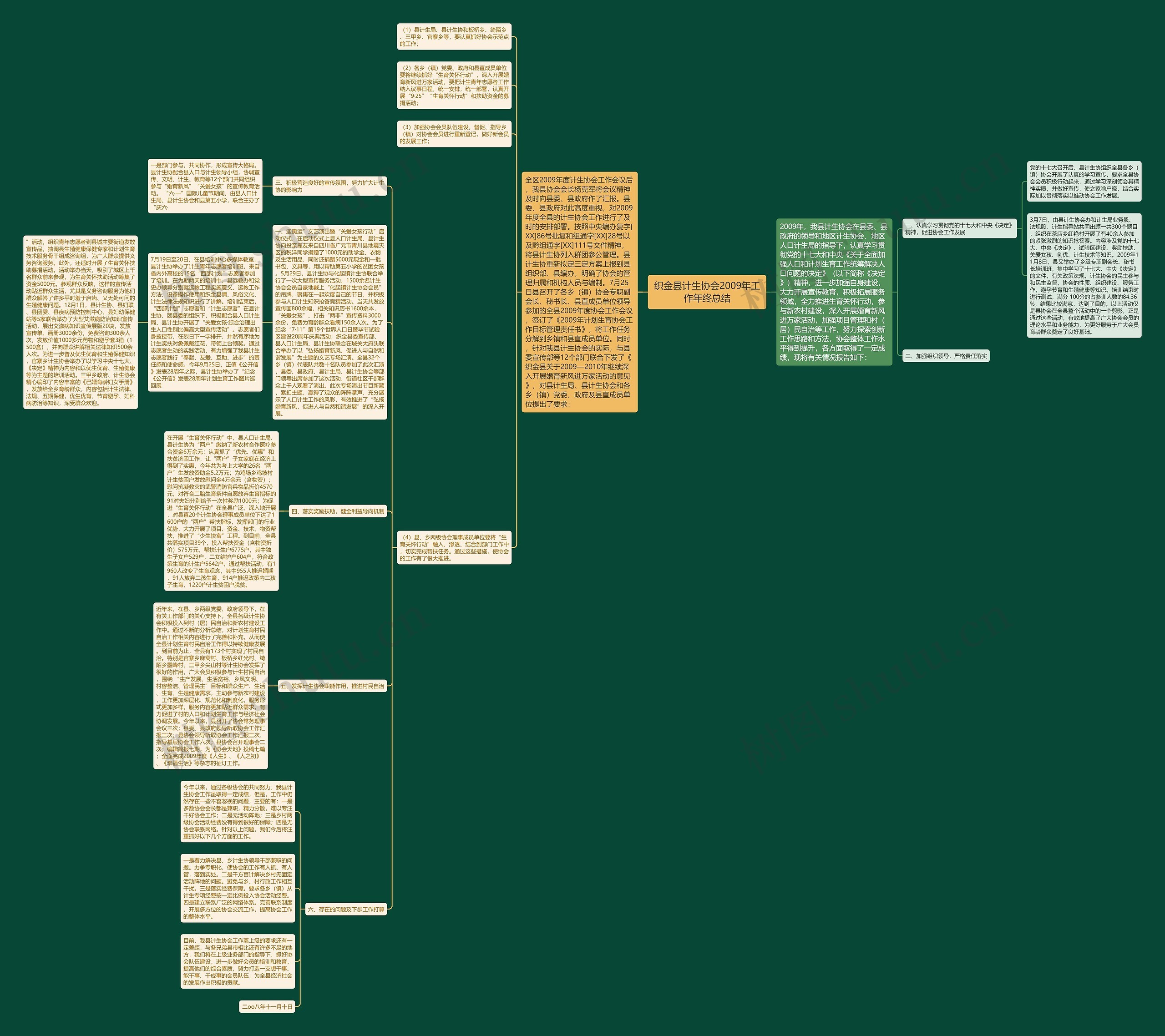 织金县计生协会2009年工作年终总结思维导图