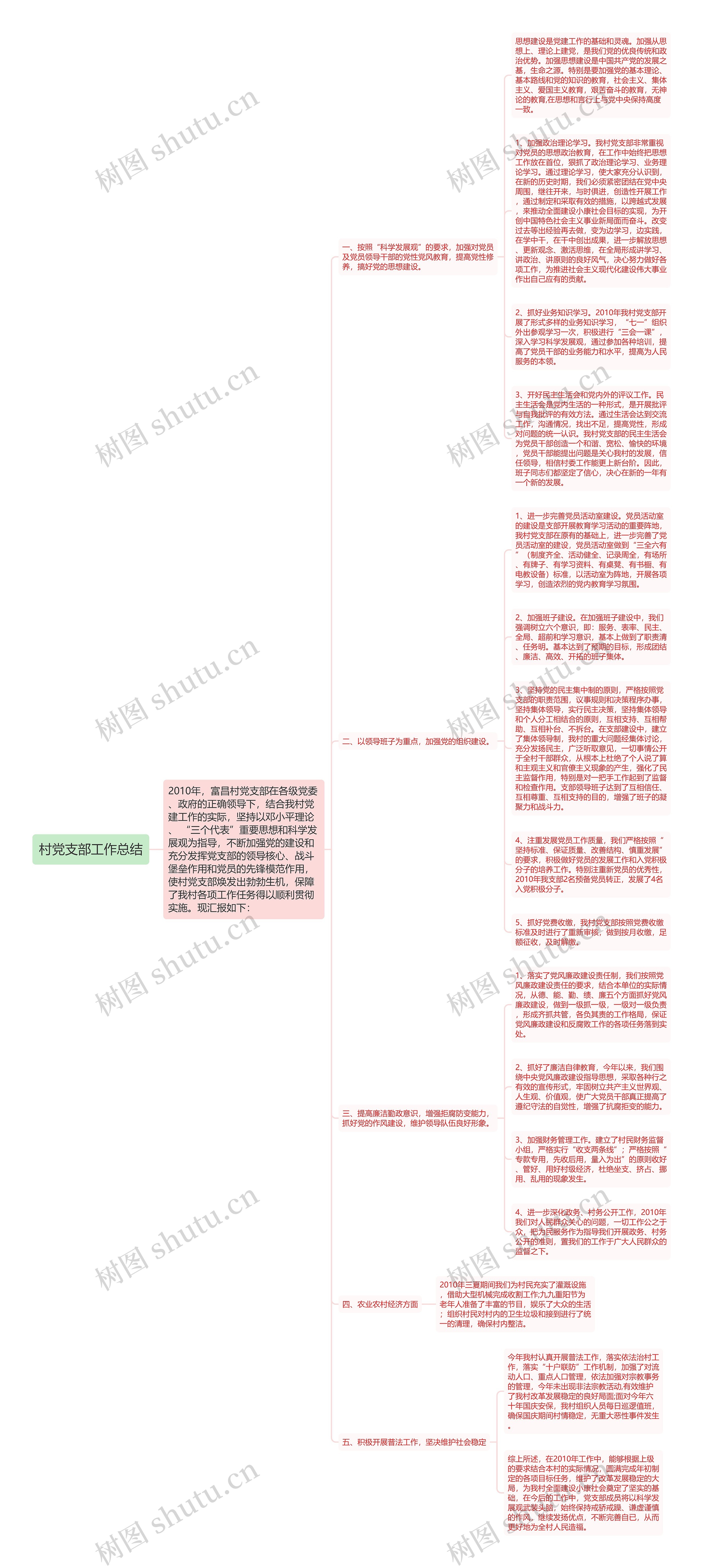 村党支部工作总结