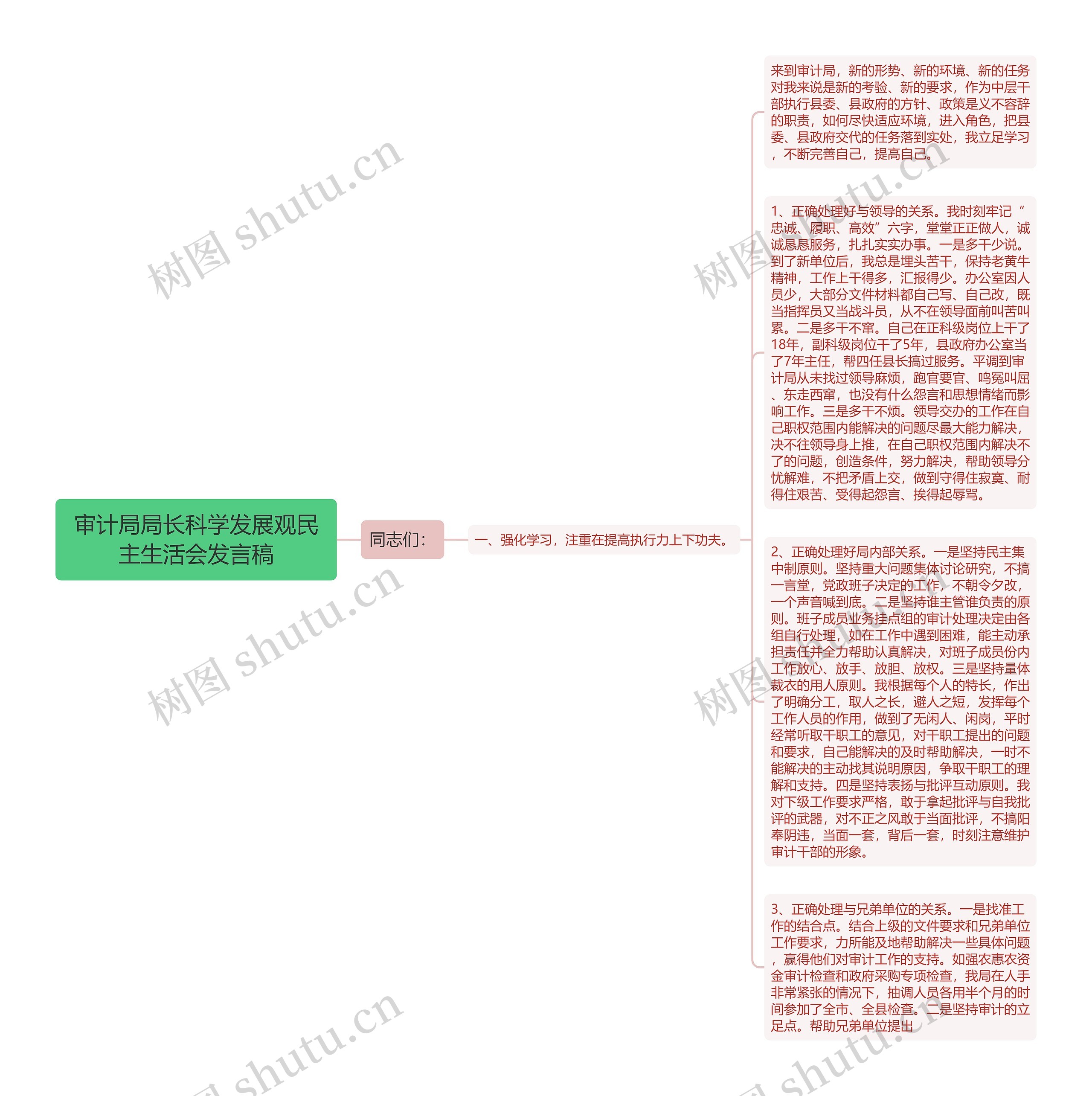 审计局局长科学发展观民主生活会发言稿思维导图