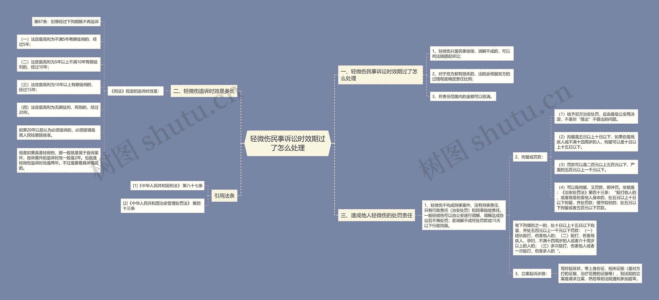 轻微伤民事诉讼时效期过了怎么处理