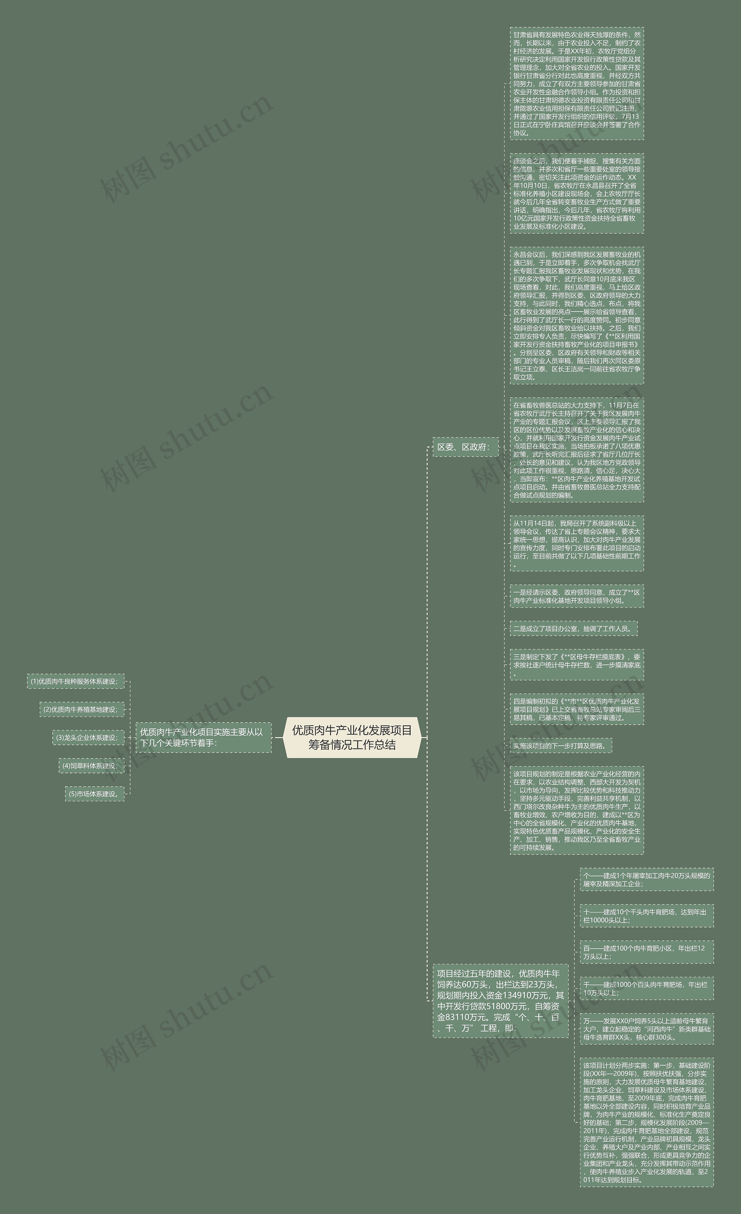 优质肉牛产业化发展项目筹备情况工作总结思维导图