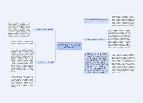 2009年上学期微机班班主任工作总结