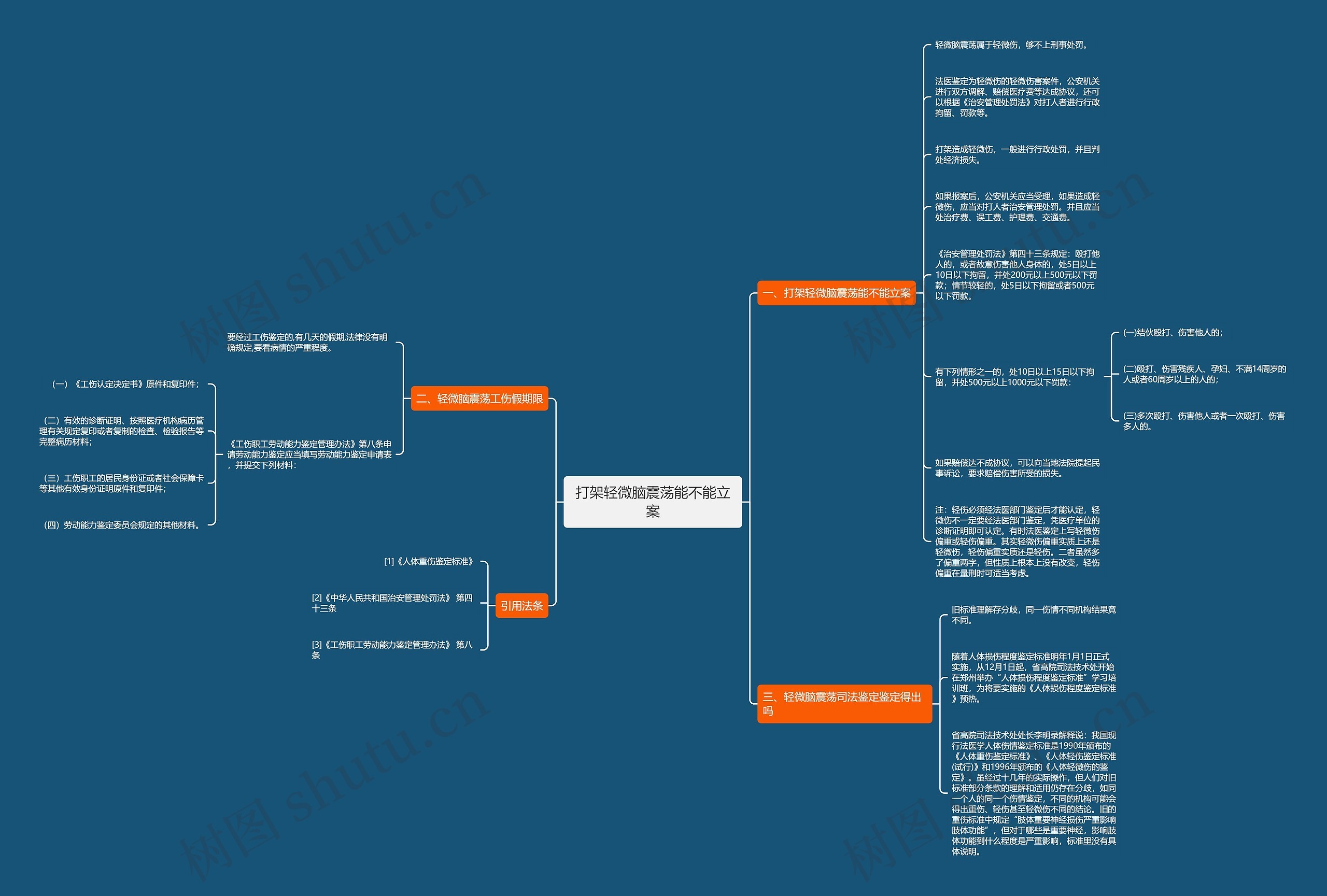 打架轻微脑震荡能不能立案思维导图