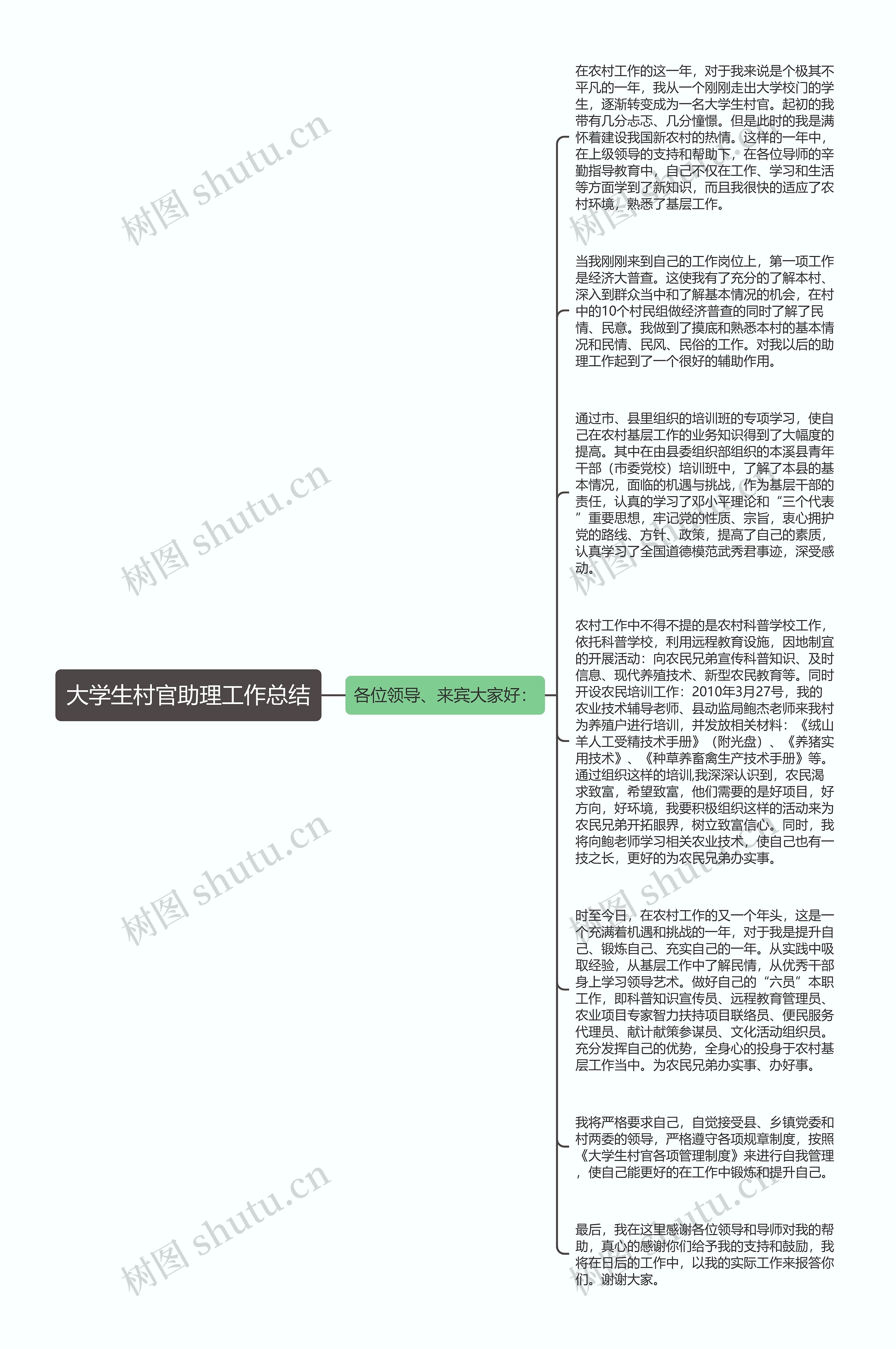 大学生村官助理工作总结