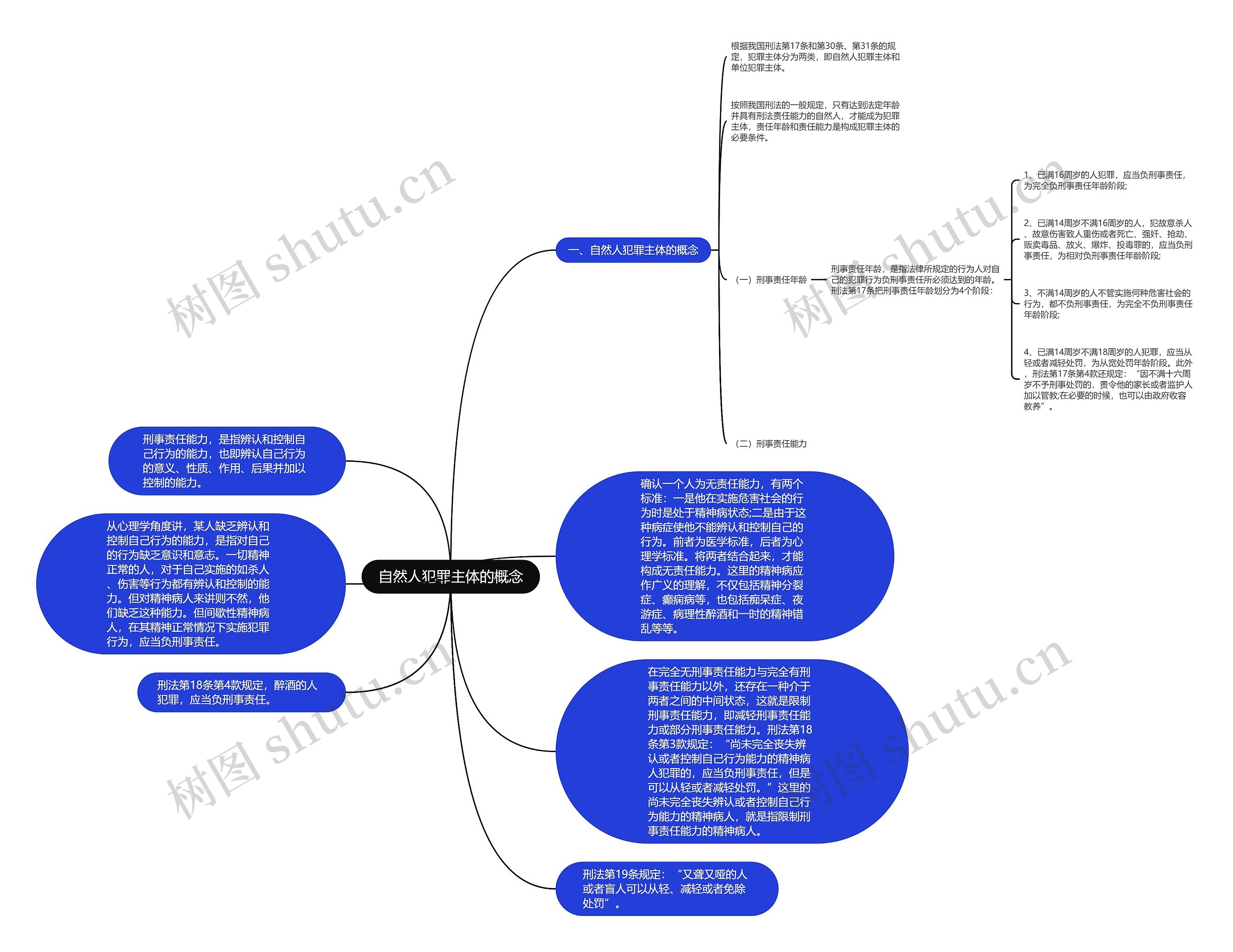 自然人犯罪主体的概念思维导图