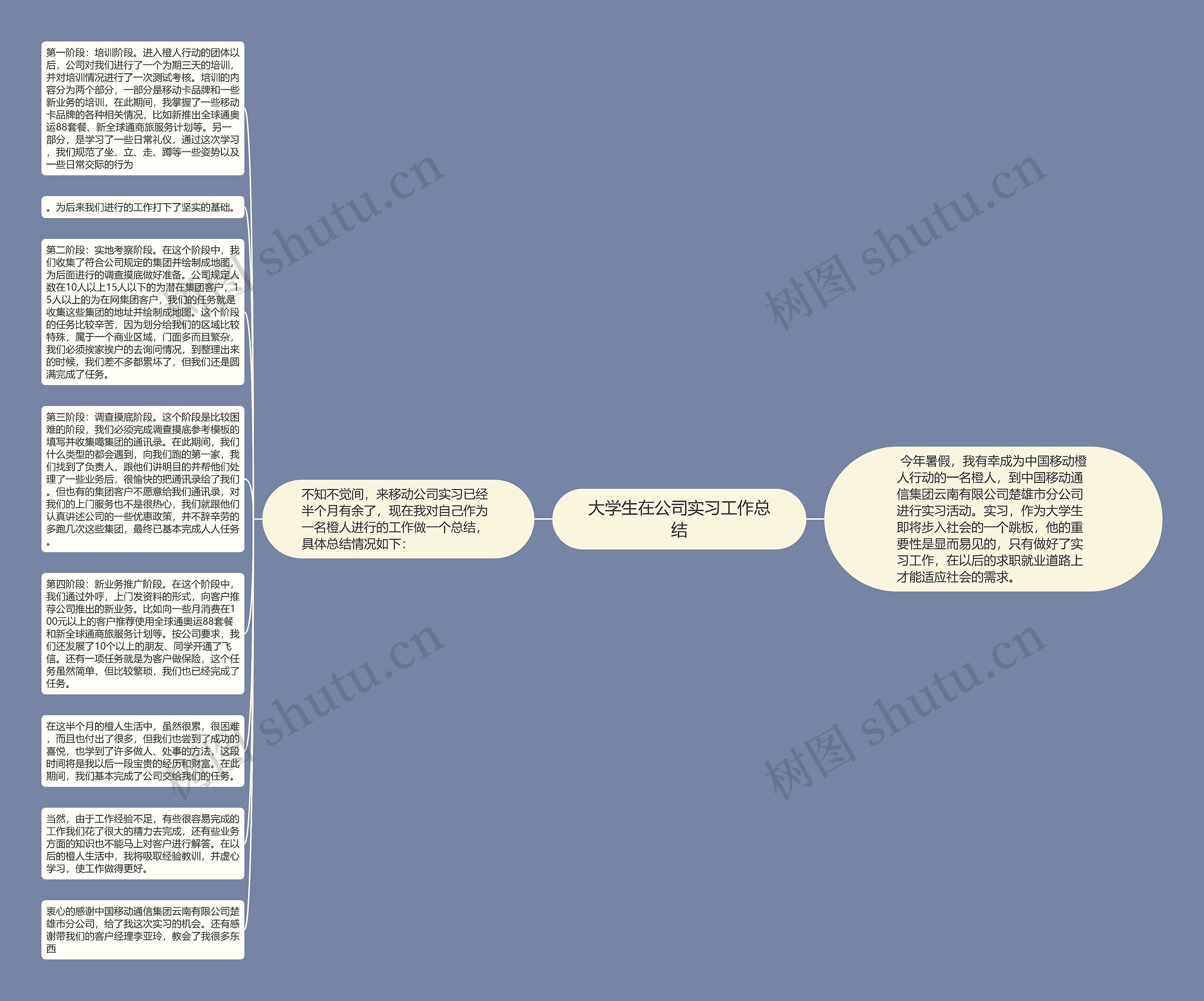 大学生在公司实习工作总结思维导图