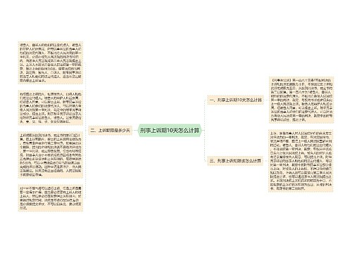 刑事上诉期10天怎么计算