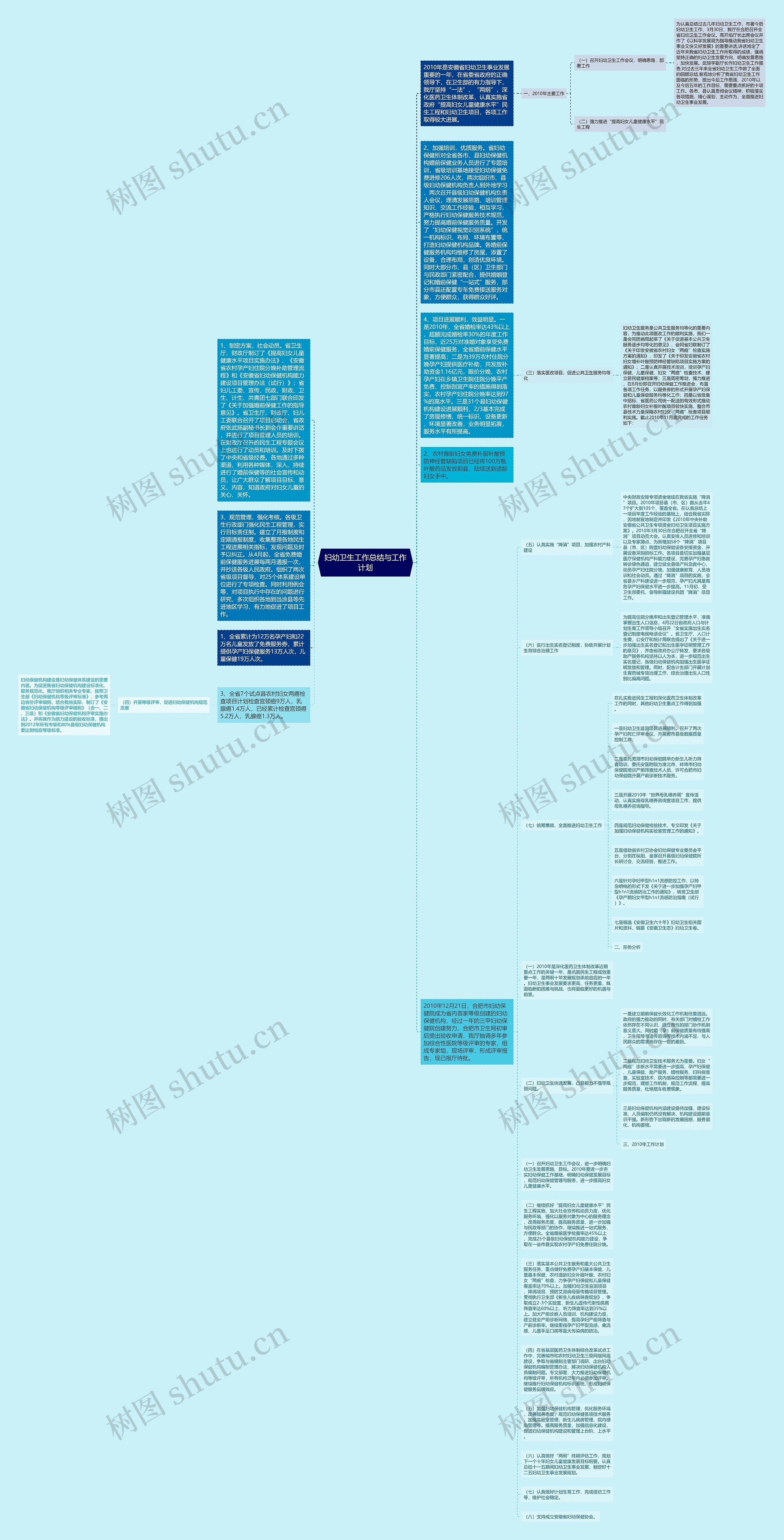 妇幼卫生工作总结与工作计划思维导图