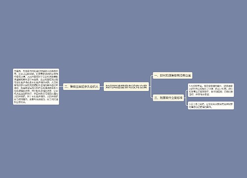 如何知道警察有没有立案