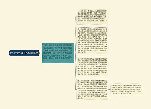 村计划生育工作总结范文
