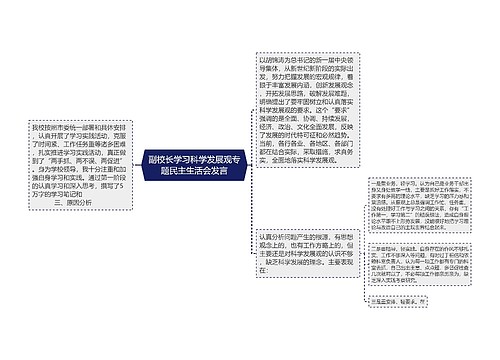 副校长学习科学发展观专题民主生活会发言