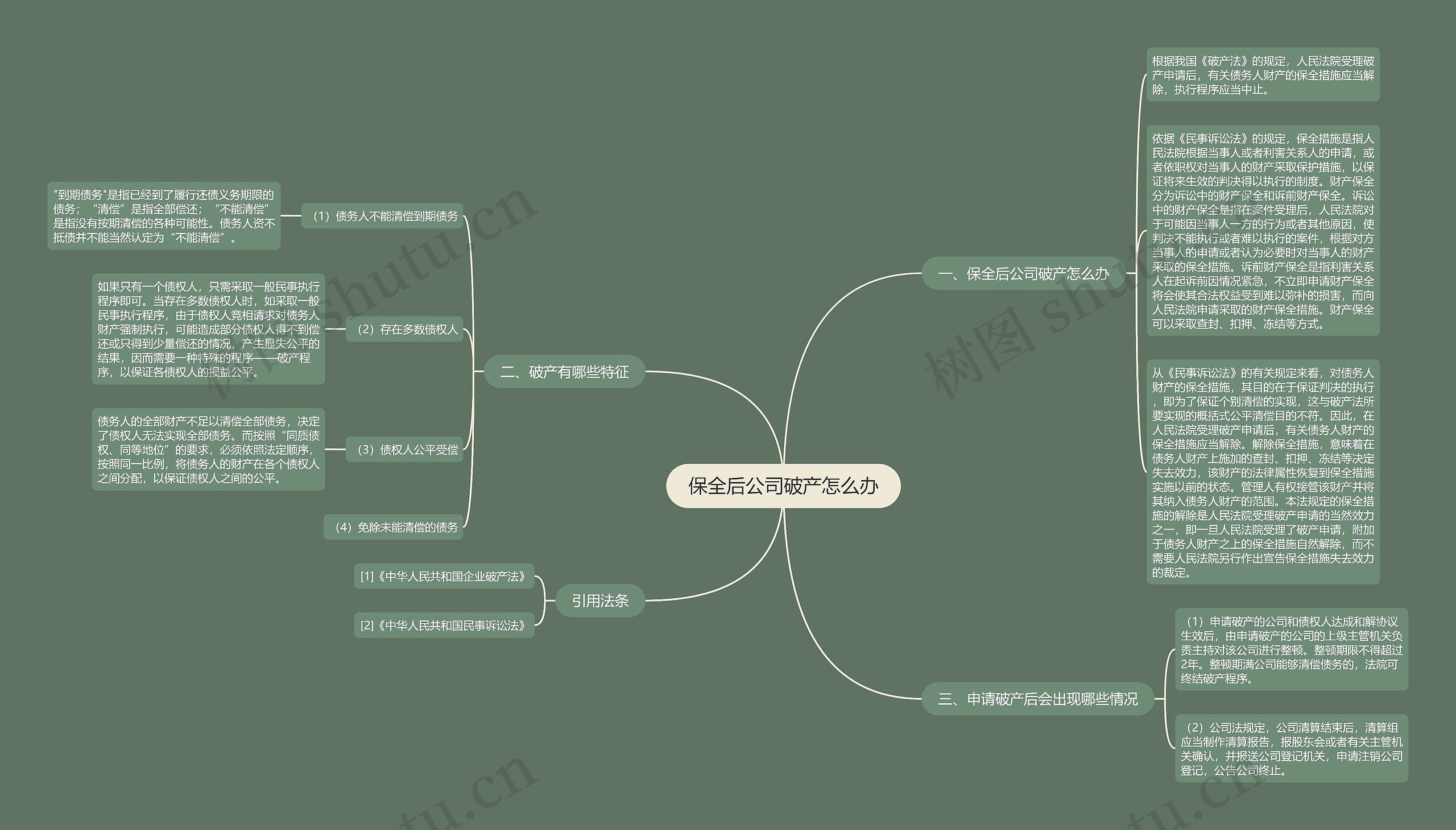 保全后公司破产怎么办思维导图