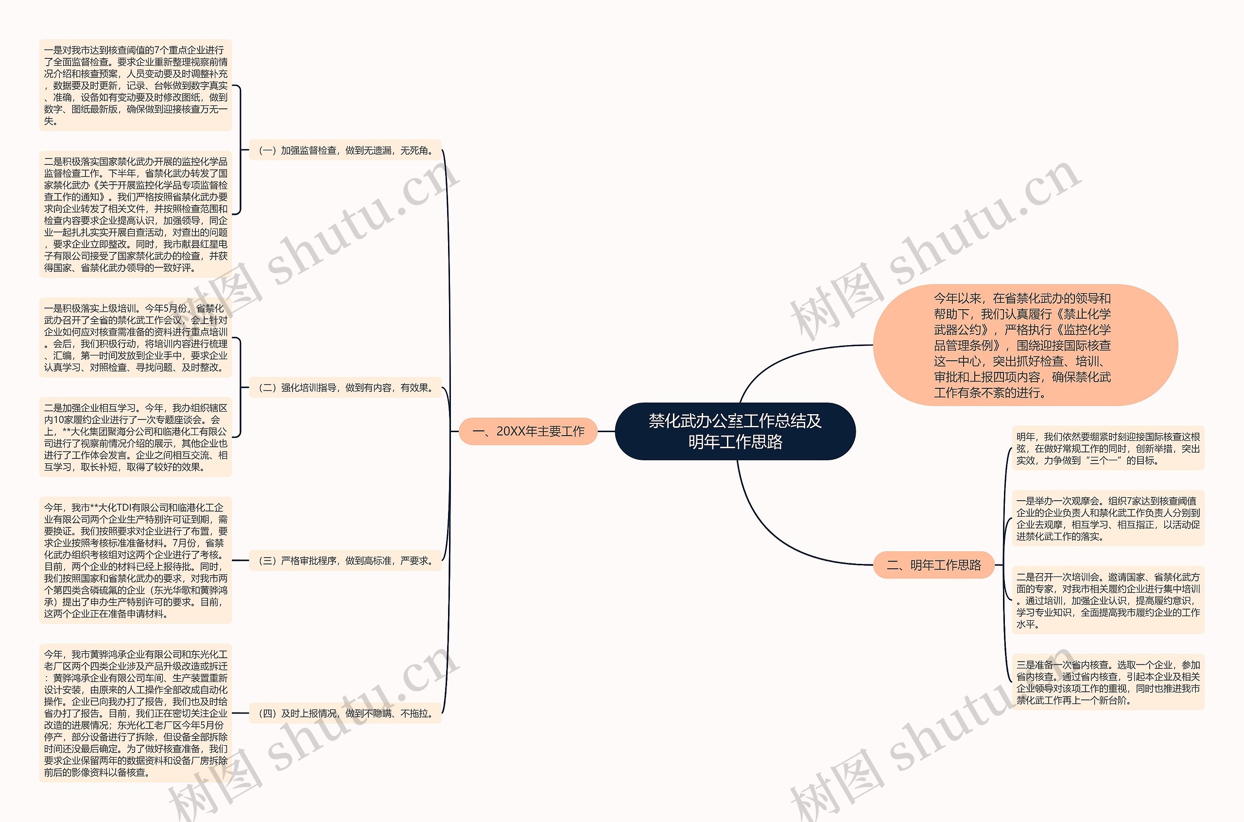 禁化武办公室工作总结及明年工作思路思维导图