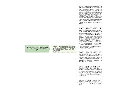 环境综合整治工作情况总结