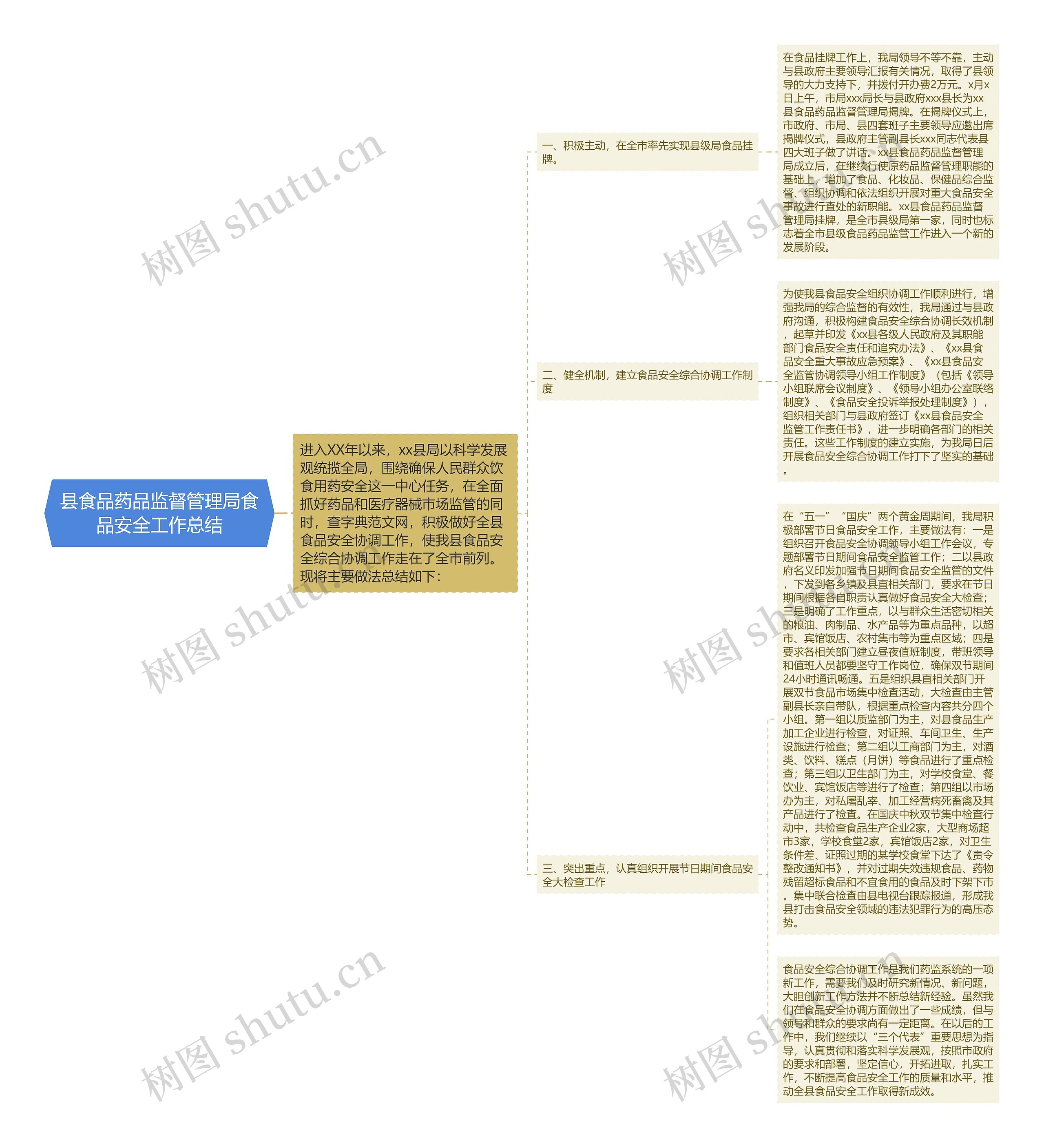县食品药品监督管理局食品安全工作总结思维导图