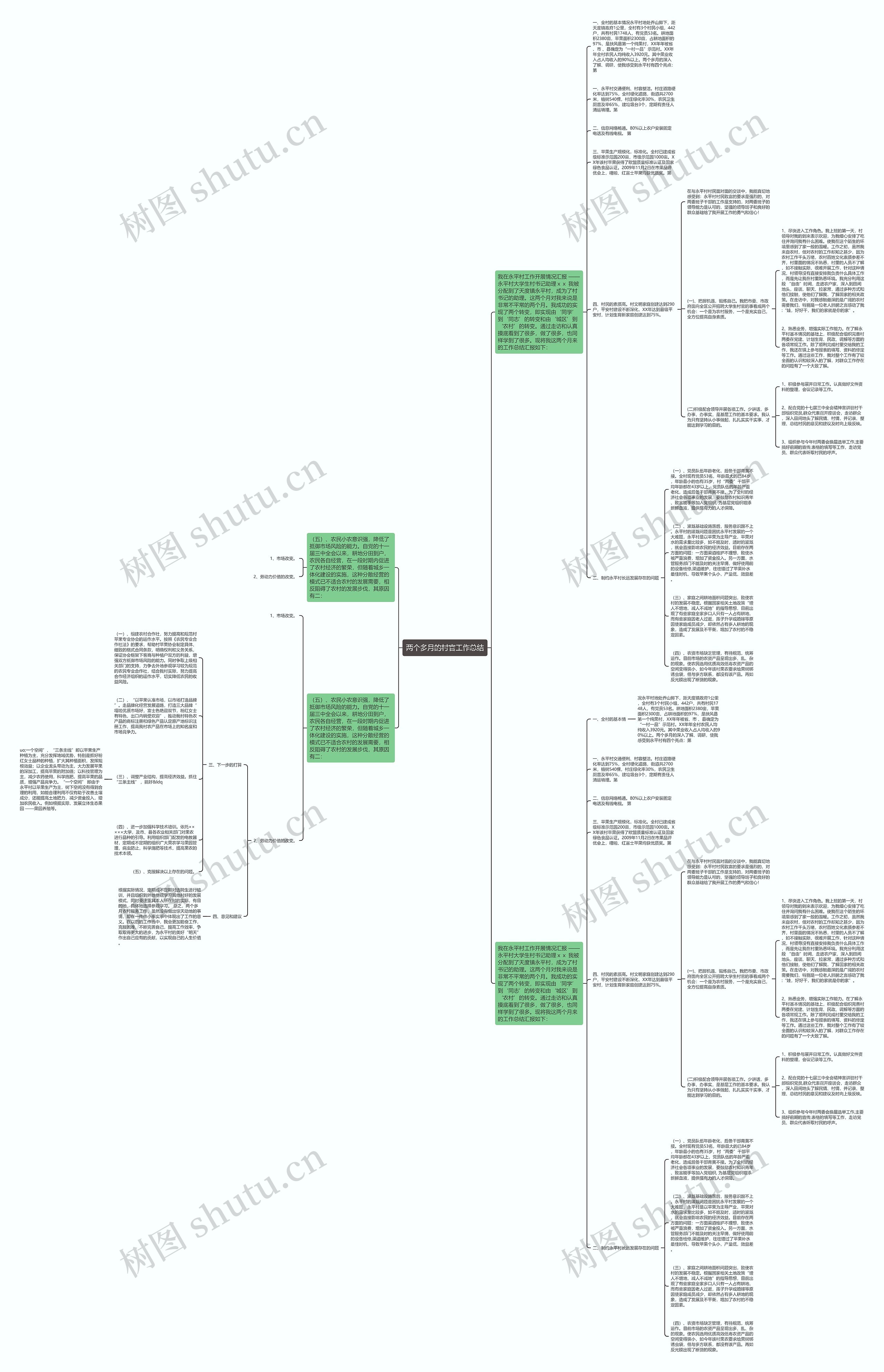 两个多月的村官工作总结思维导图
