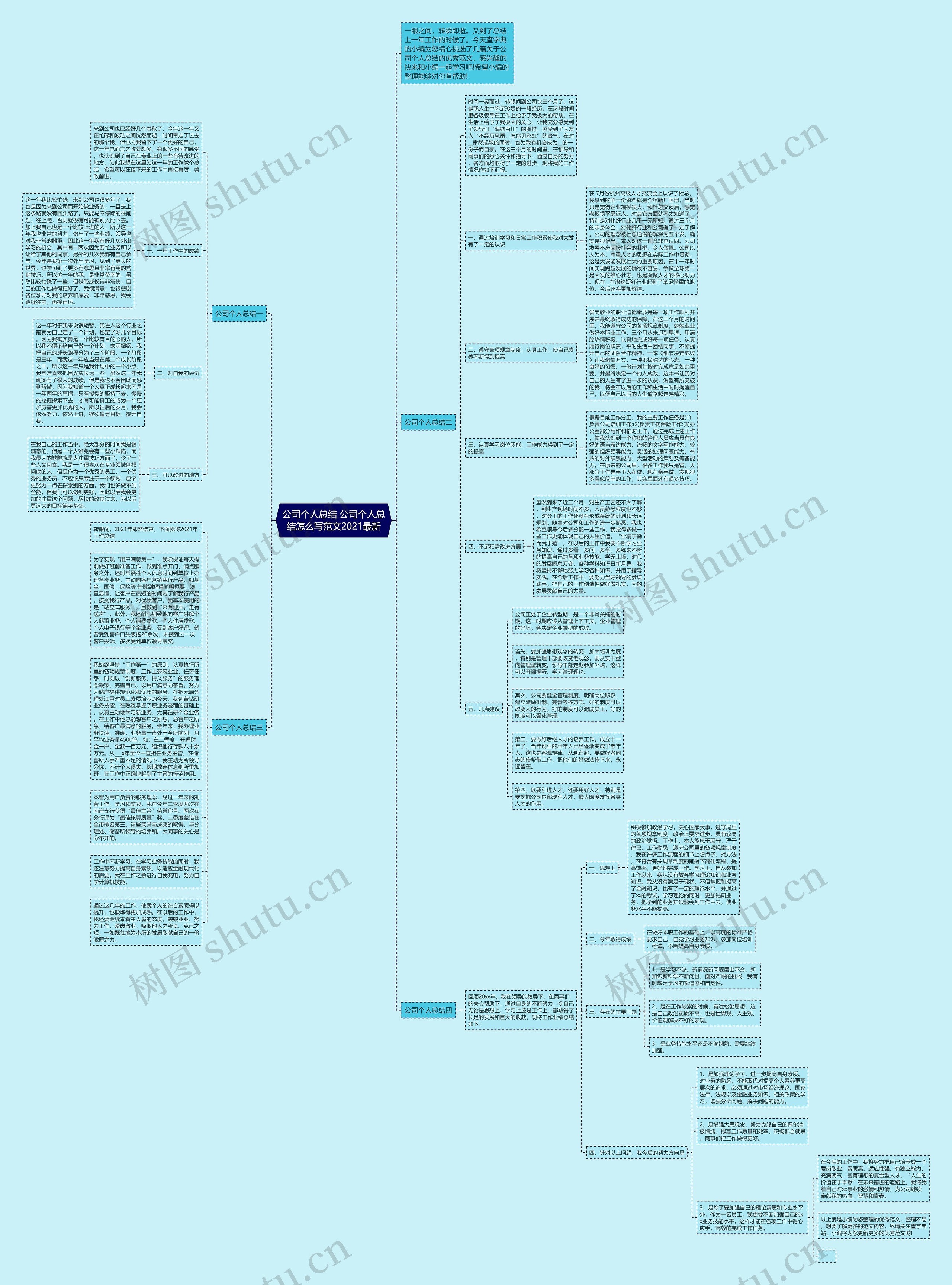 公司个人总结 公司个人总结怎么写范文2021最新思维导图