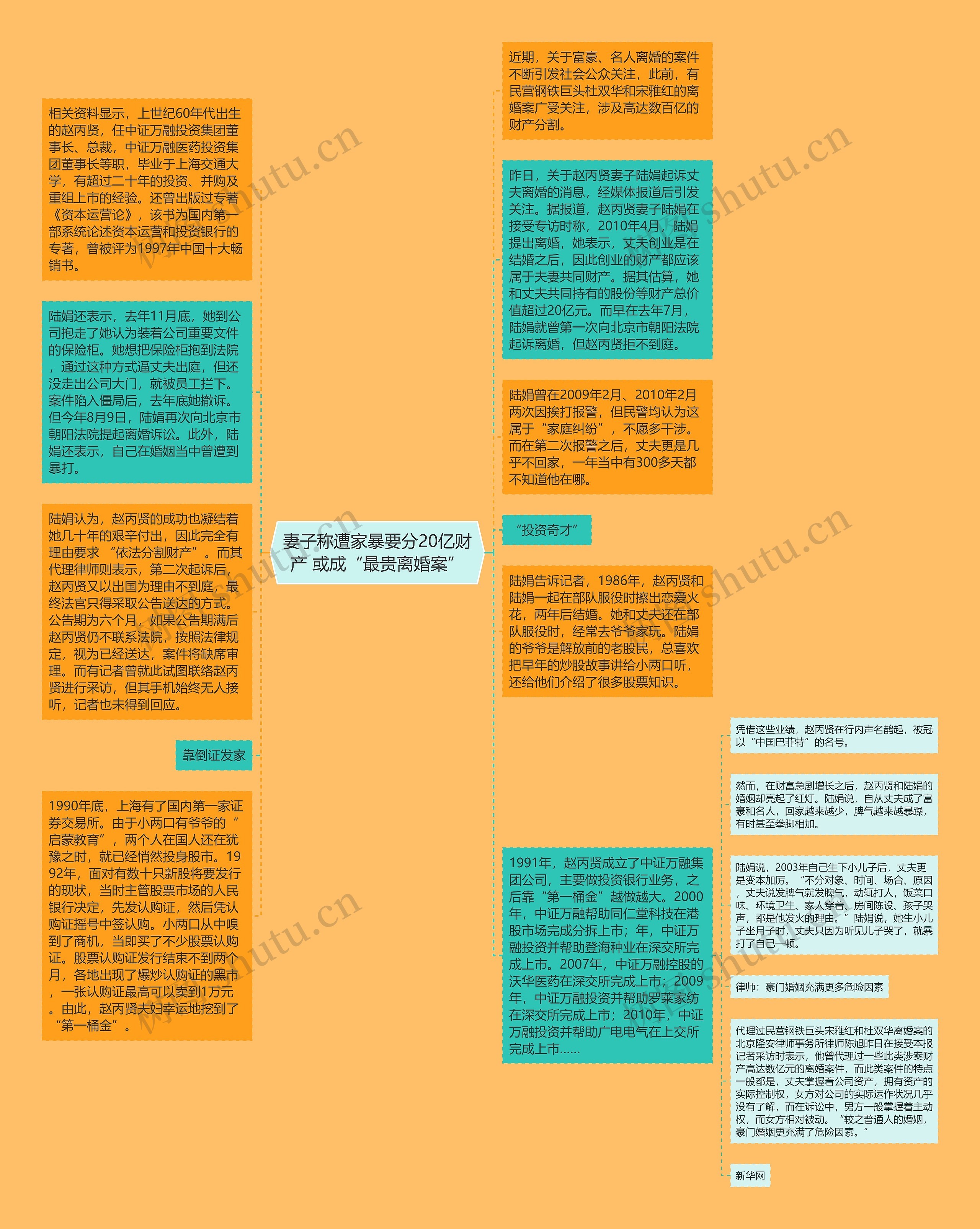 妻子称遭家暴要分20亿财产 或成“最贵离婚案”思维导图