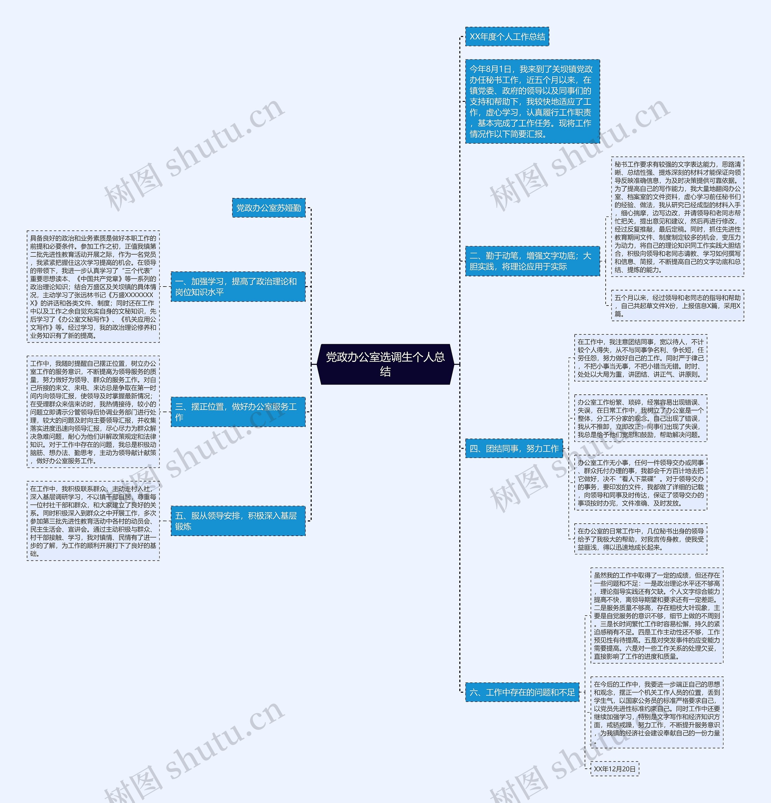 党政办公室选调生个人总结思维导图