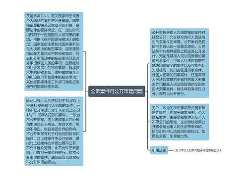 公诉案件可公开审理问题