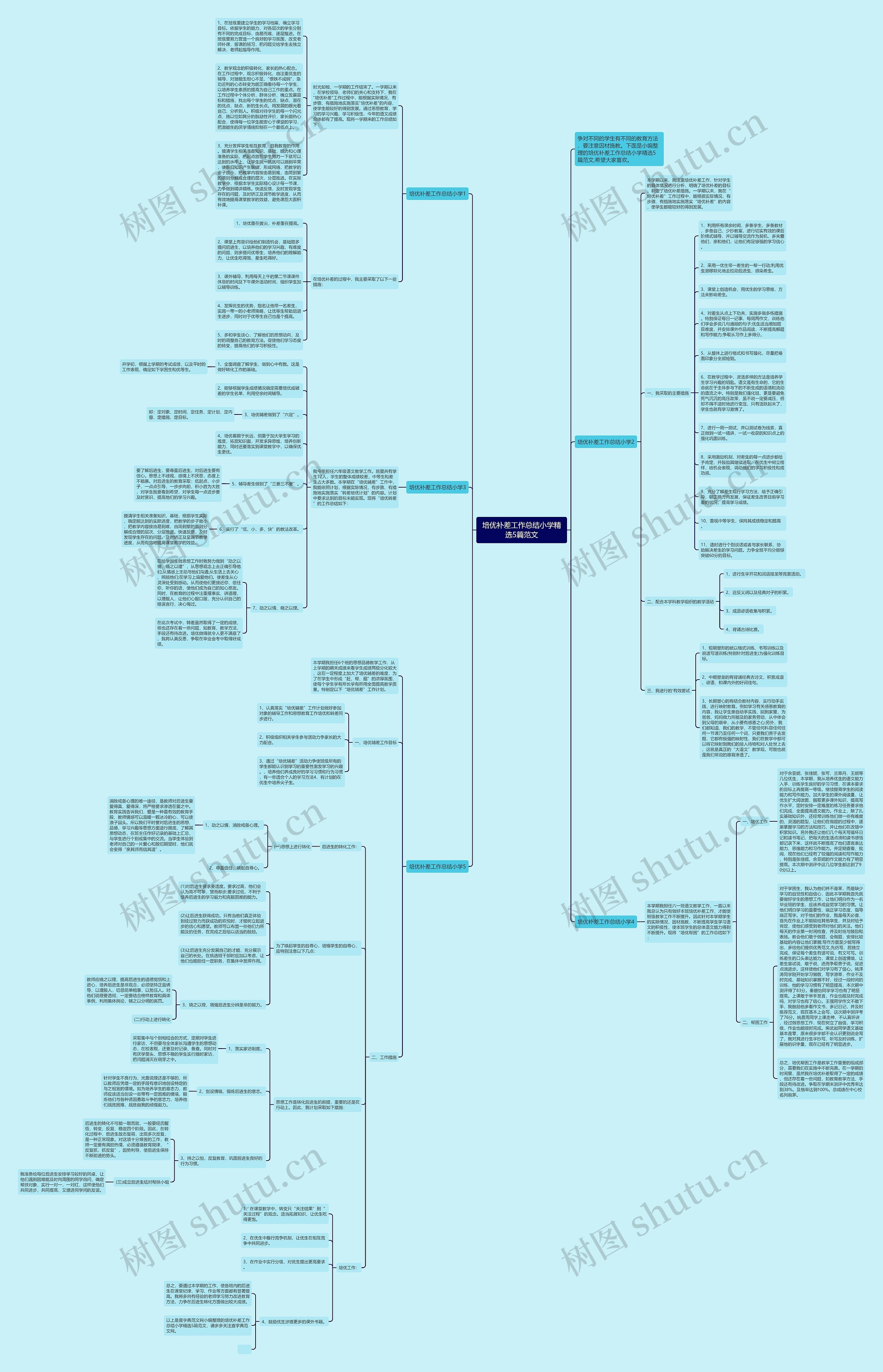 培优补差工作总结小学精选5篇范文思维导图