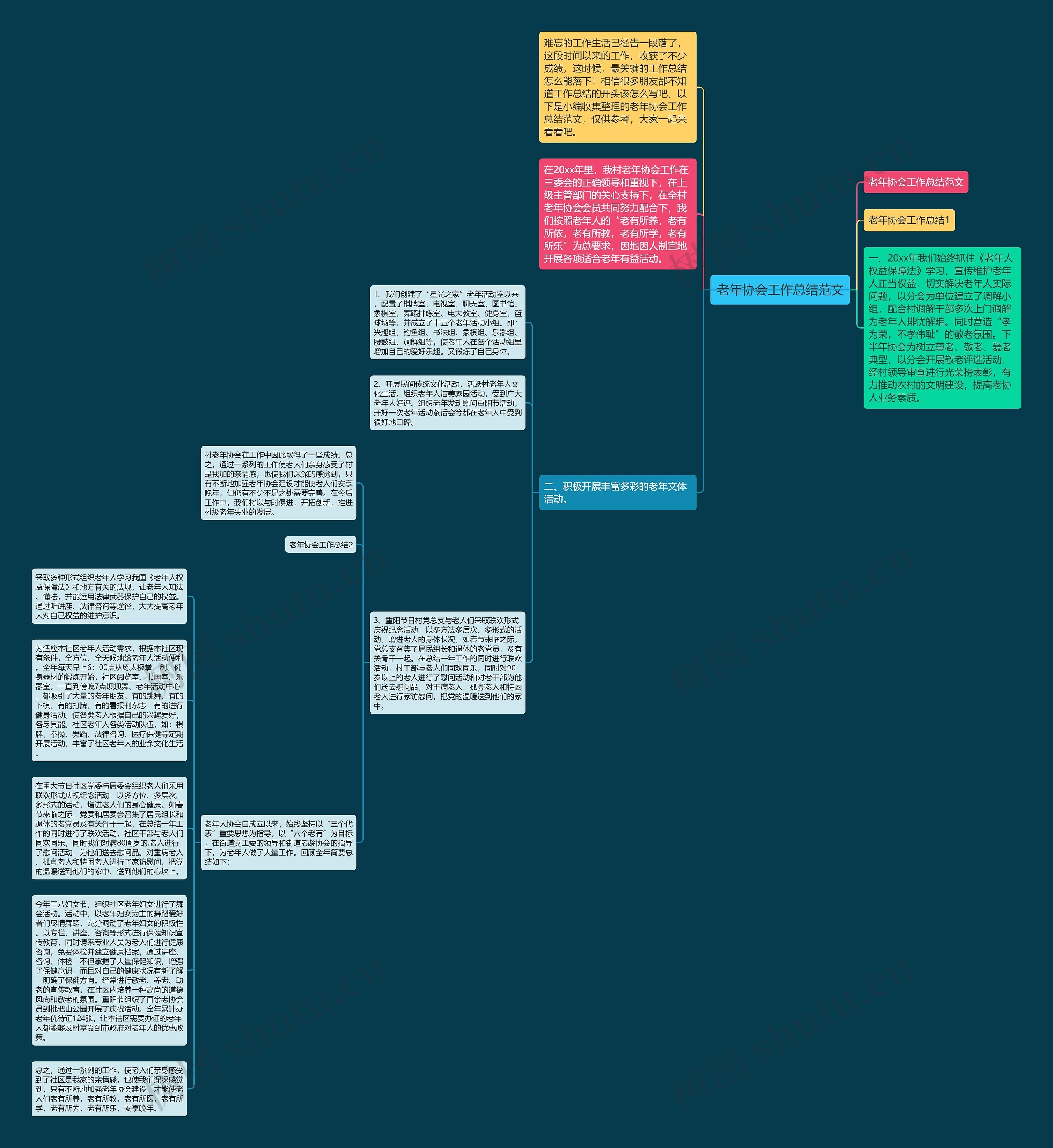 老年协会工作总结范文思维导图