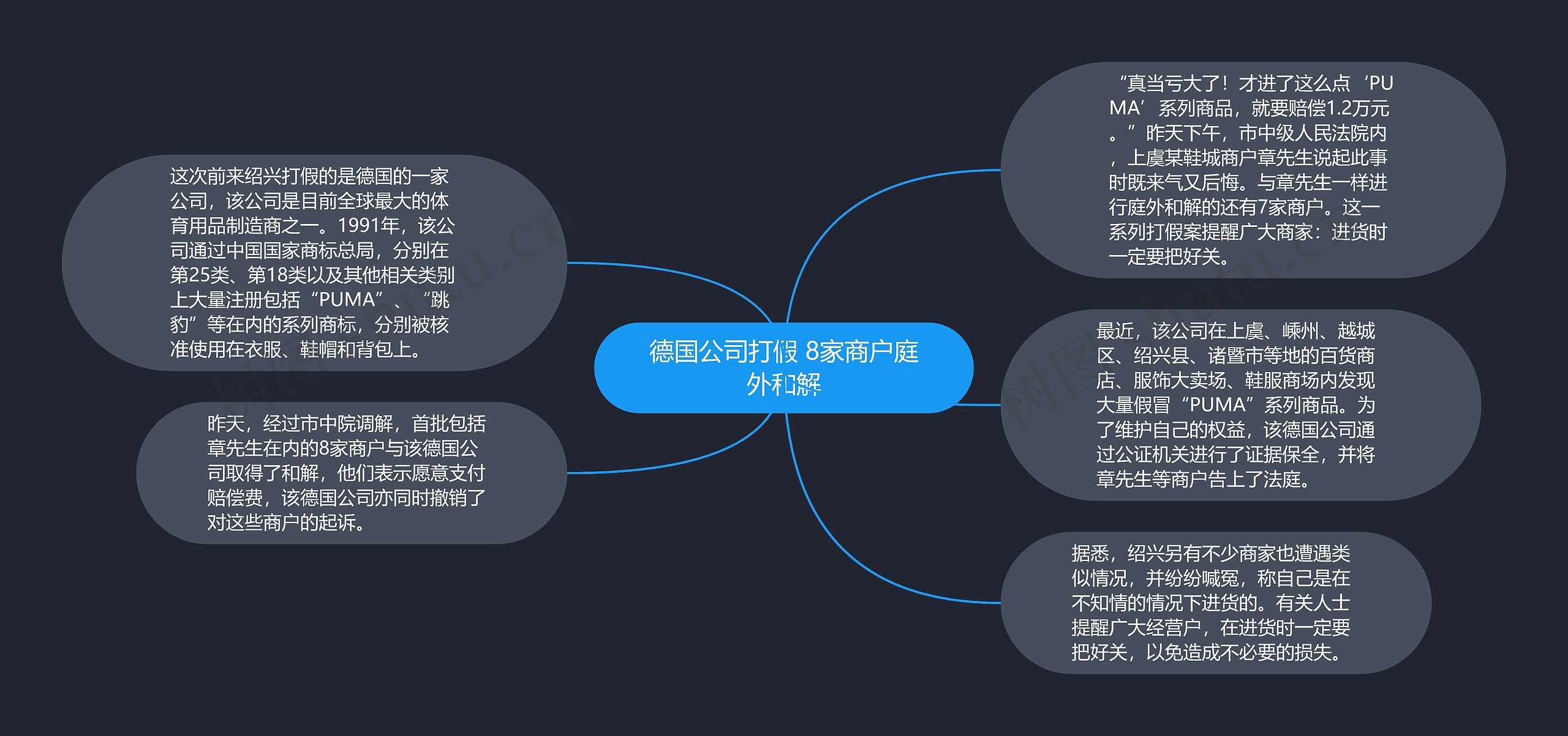 德国公司打假 8家商户庭外和解思维导图