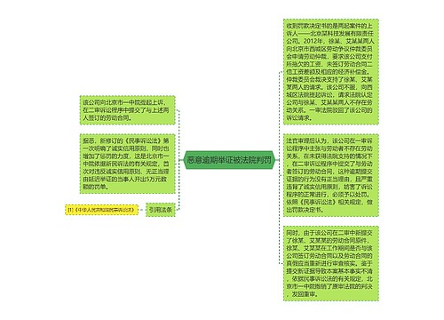 恶意逾期举证被法院判罚