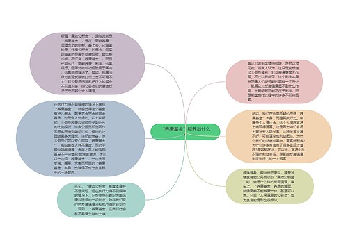 “养廉基金”能养出什么？