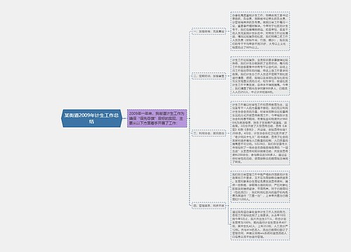 某街道2009年计生工作总结