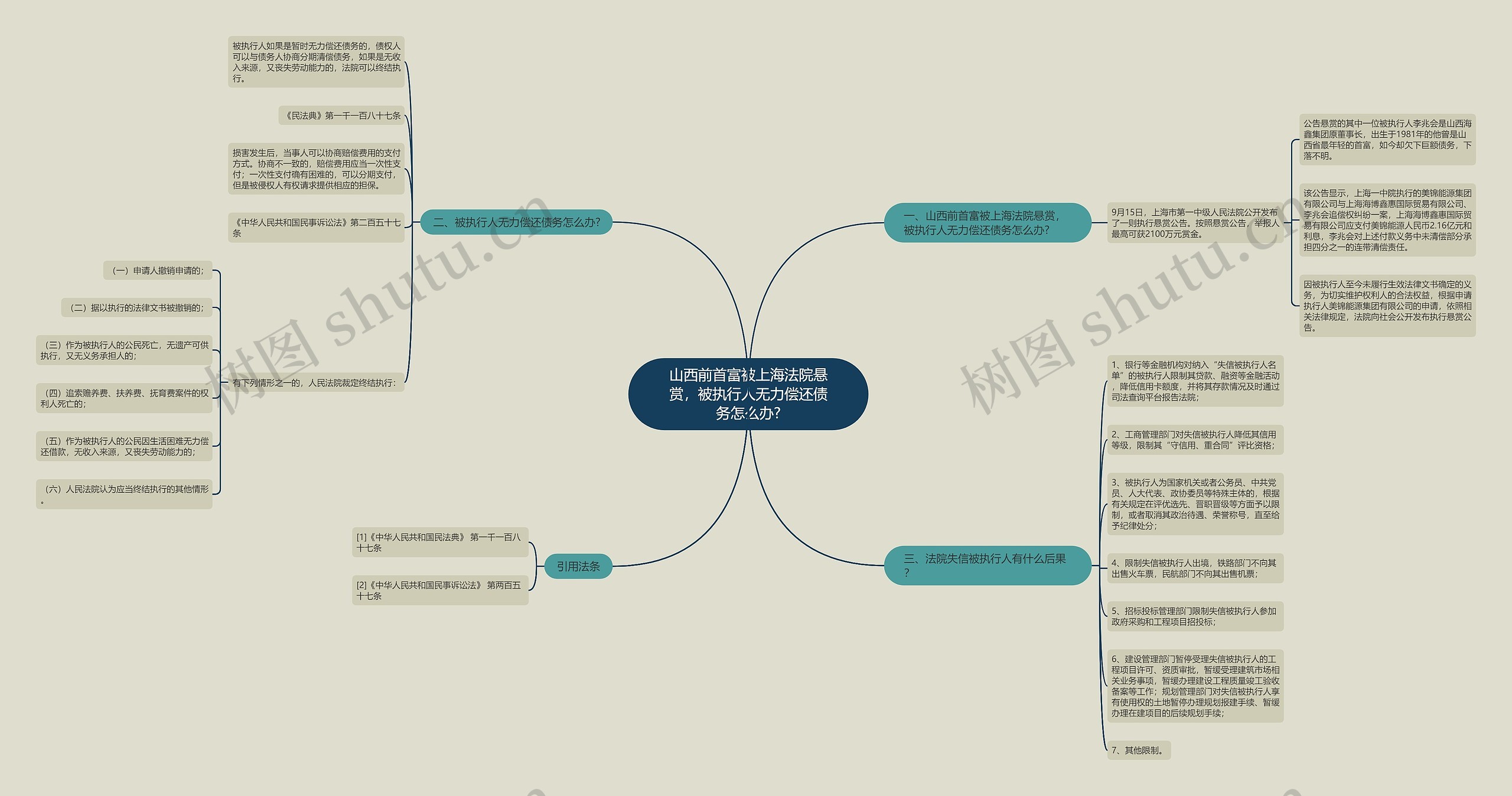 山西前首富被上海法院悬赏，被执行人无力偿还债务怎么办?思维导图
