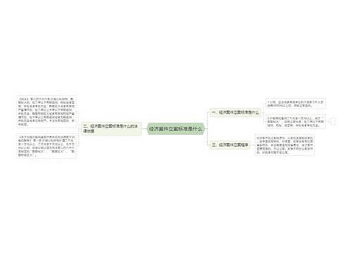 经济案件立案标准是什么