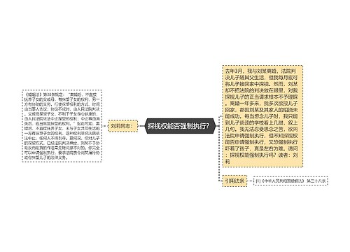探视权能否强制执行？