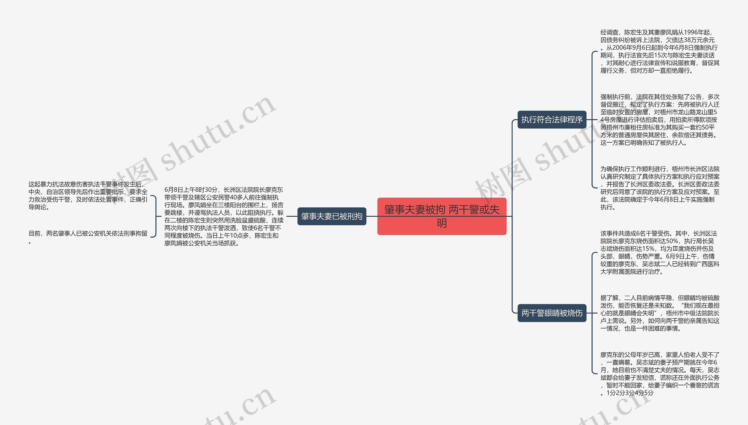 肇事夫妻被拘 两干警或失明思维导图