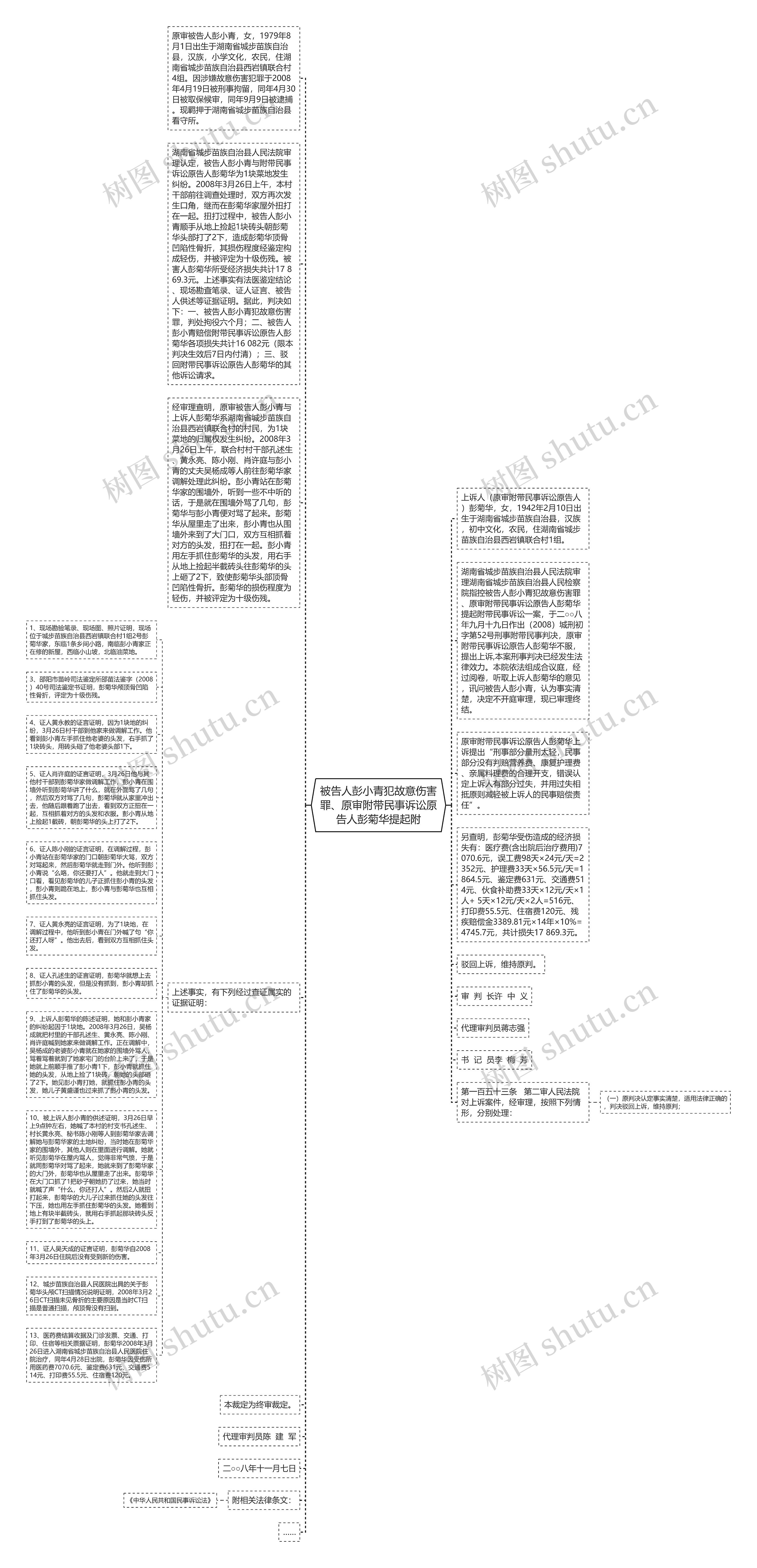 被告人彭小青犯故意伤害罪、原审附带民事诉讼原告人彭菊华提起附