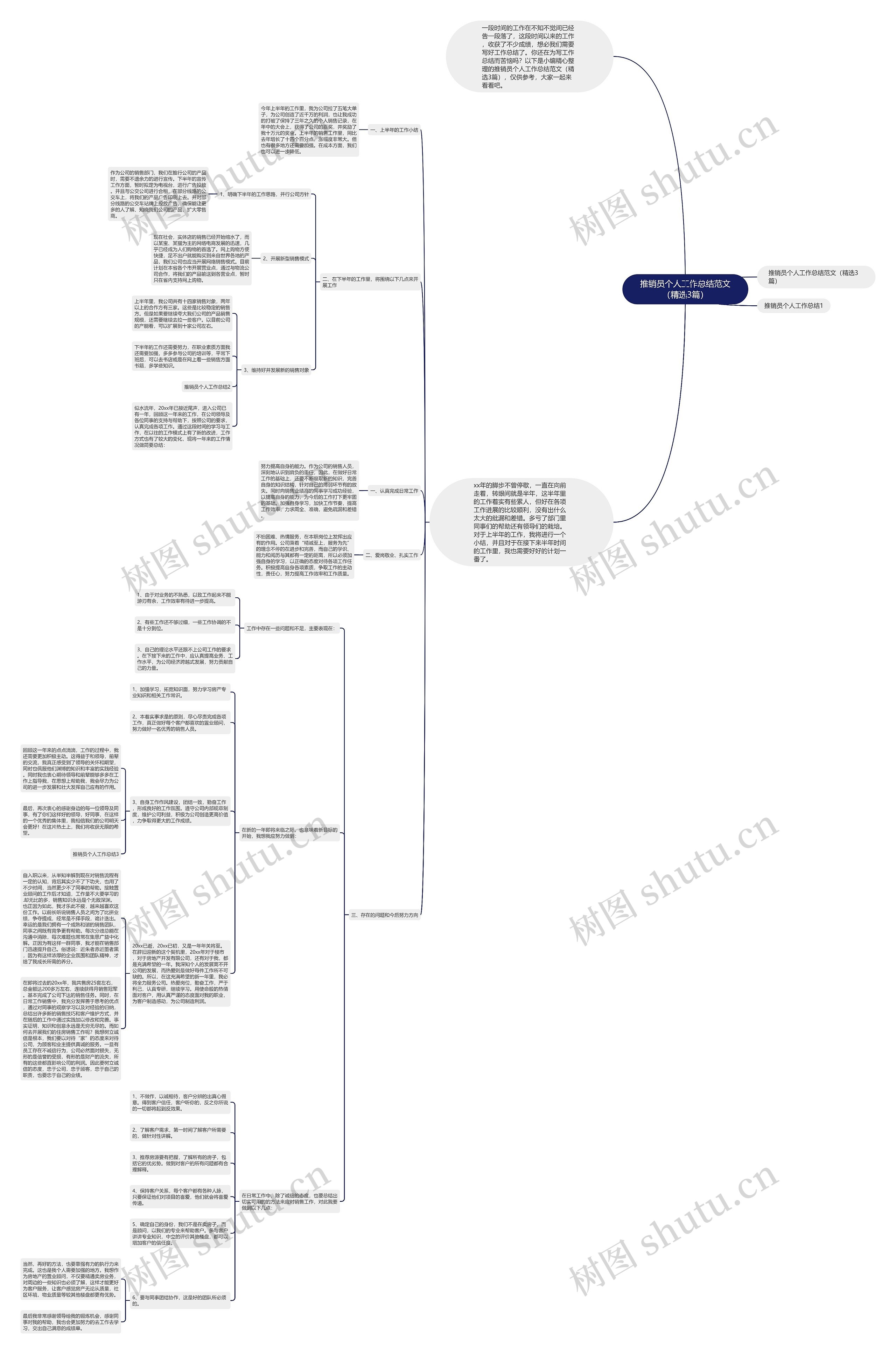 推销员个人工作总结范文（精选3篇）思维导图