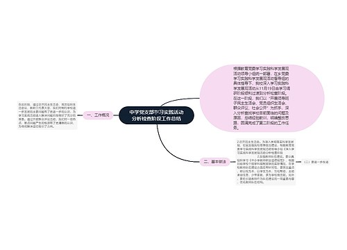 中学党支部学习实践活动分析检查阶段工作总结