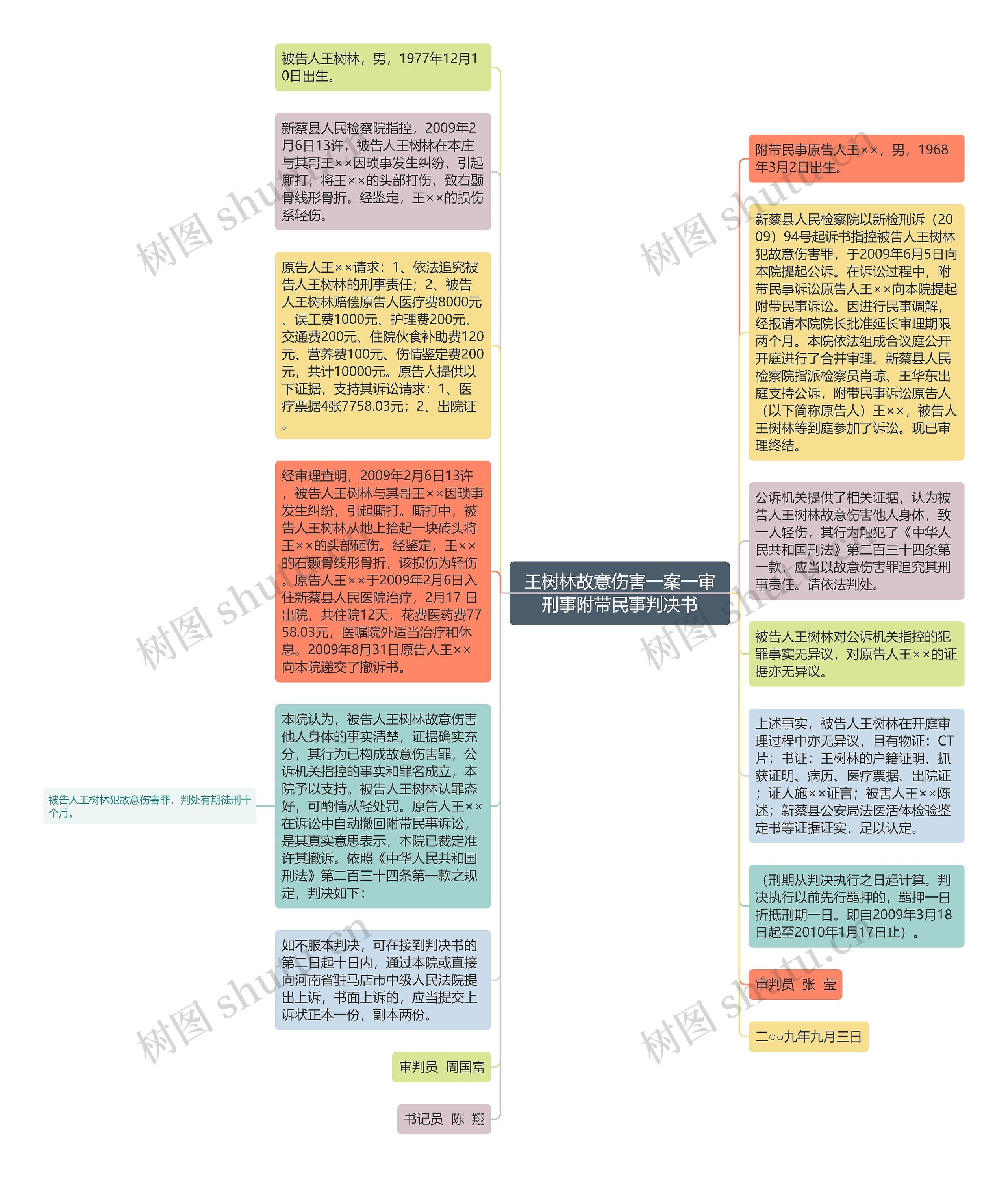 王树林故意伤害一案一审刑事附带民事判决书思维导图