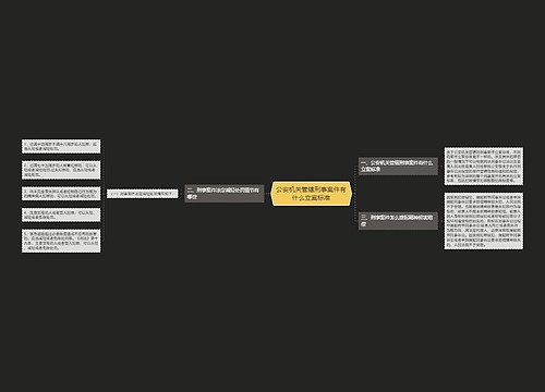 公安机关管辖刑事案件有什么立案标准