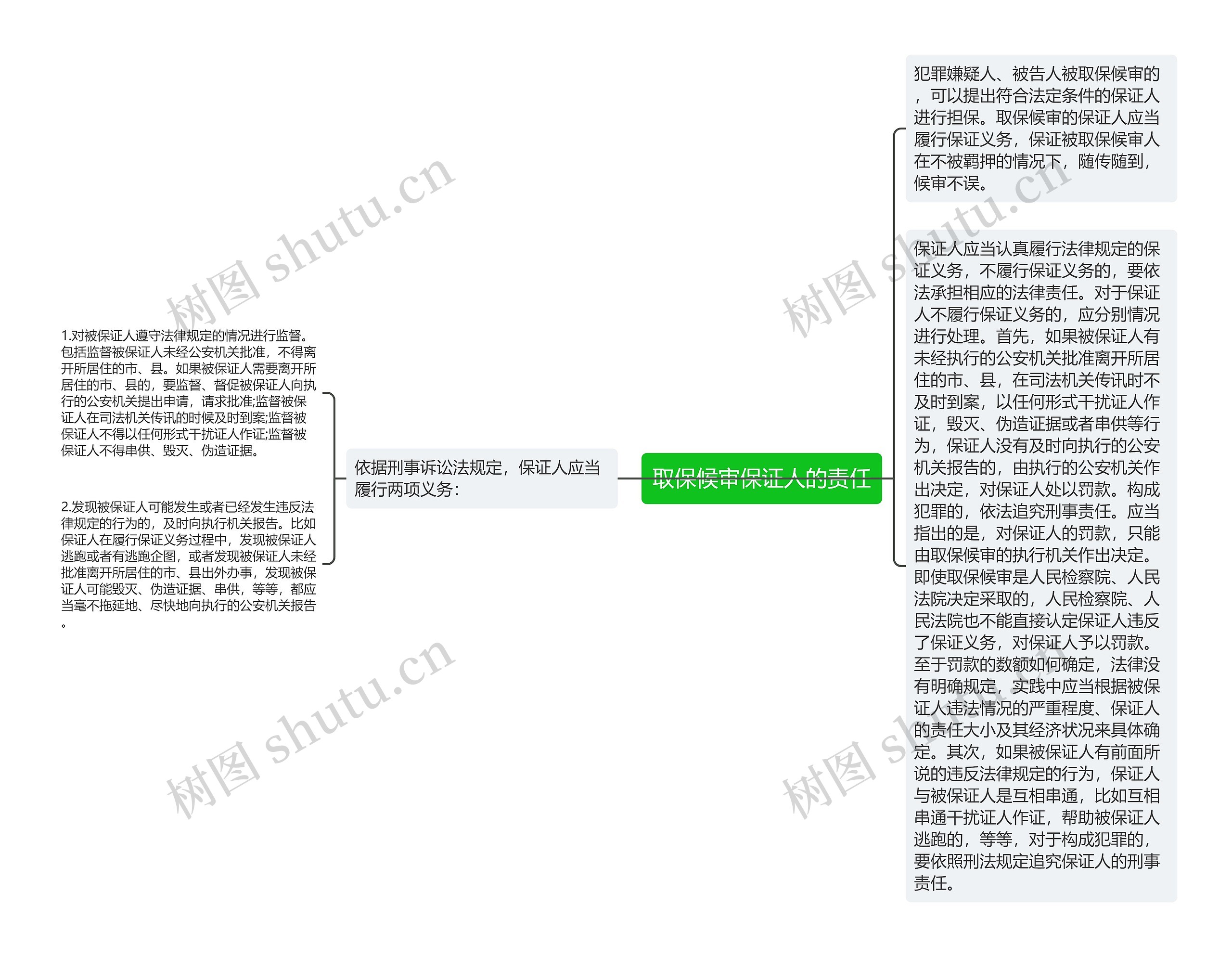 取保候审保证人的责任