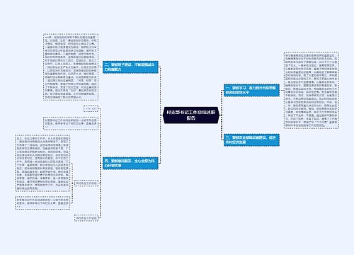 村支部书记工作总结述职报告