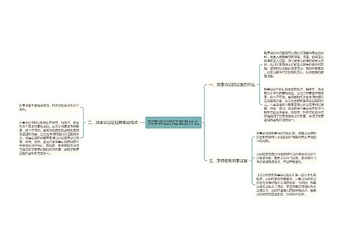 刑事诉讼的证据是什么