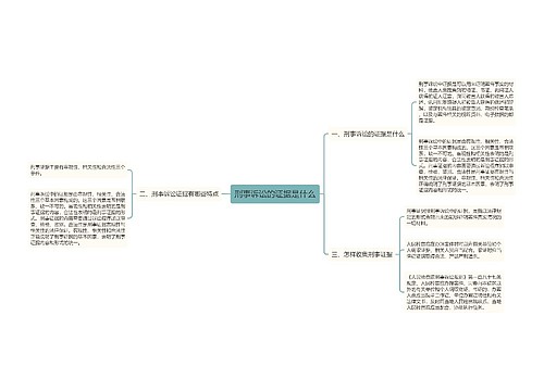 刑事诉讼的证据是什么