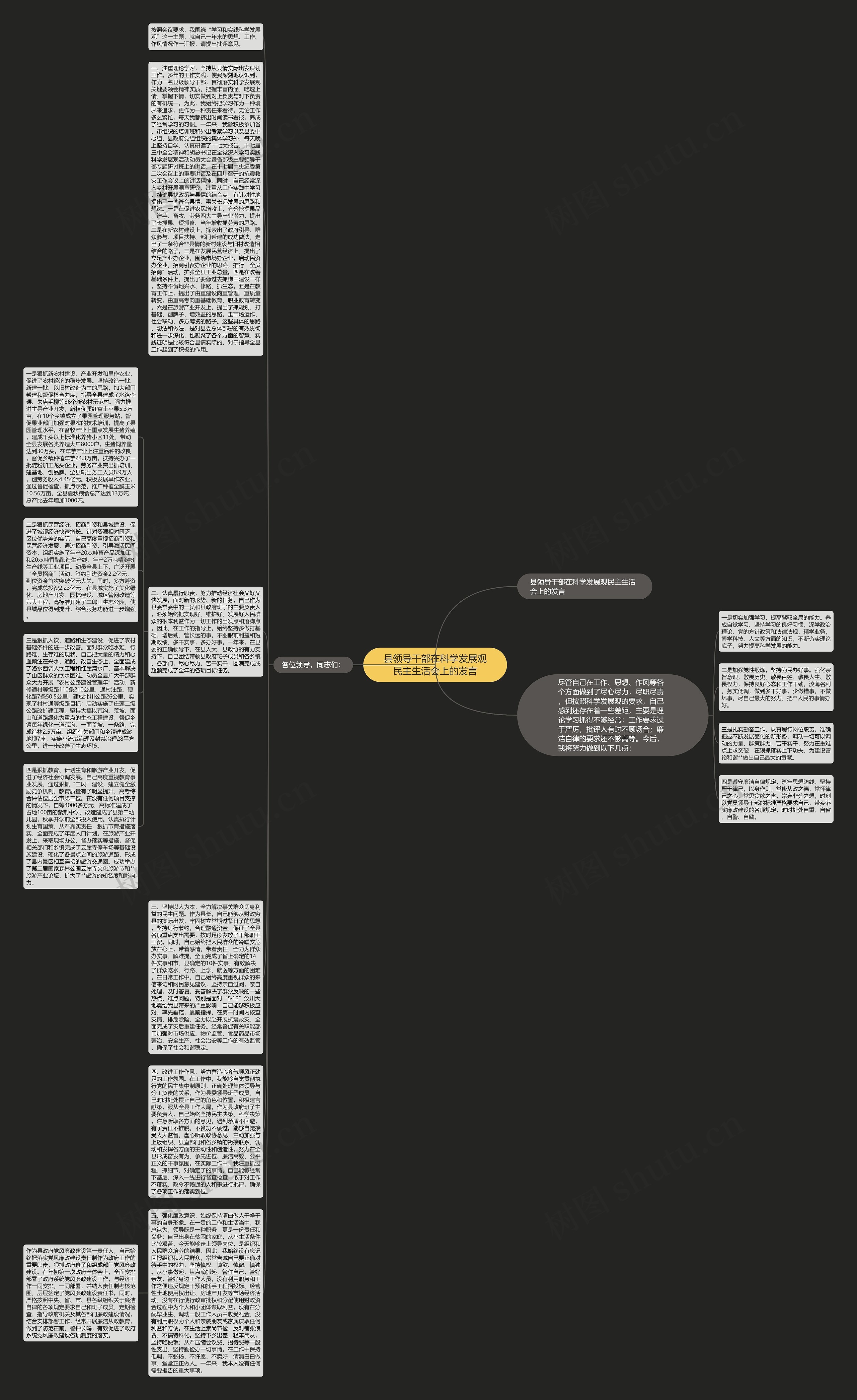 县领导干部在科学发展观民主生活会上的发言思维导图