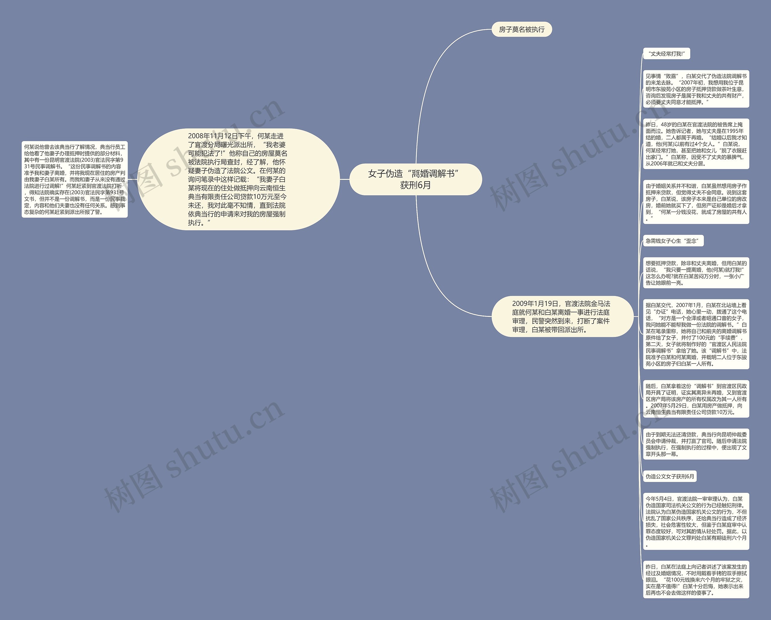 女子伪造“离婚调解书”获刑6月思维导图