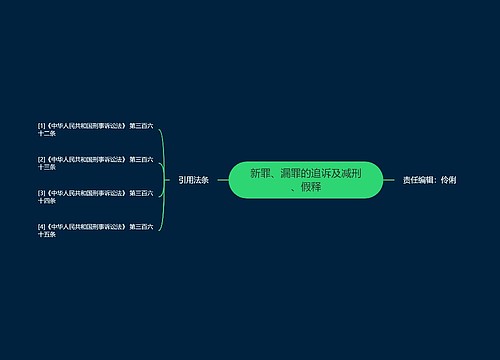 新罪、漏罪的追诉及减刑、假释