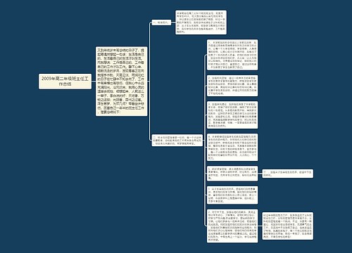 2009年高二年级班主任工作总结