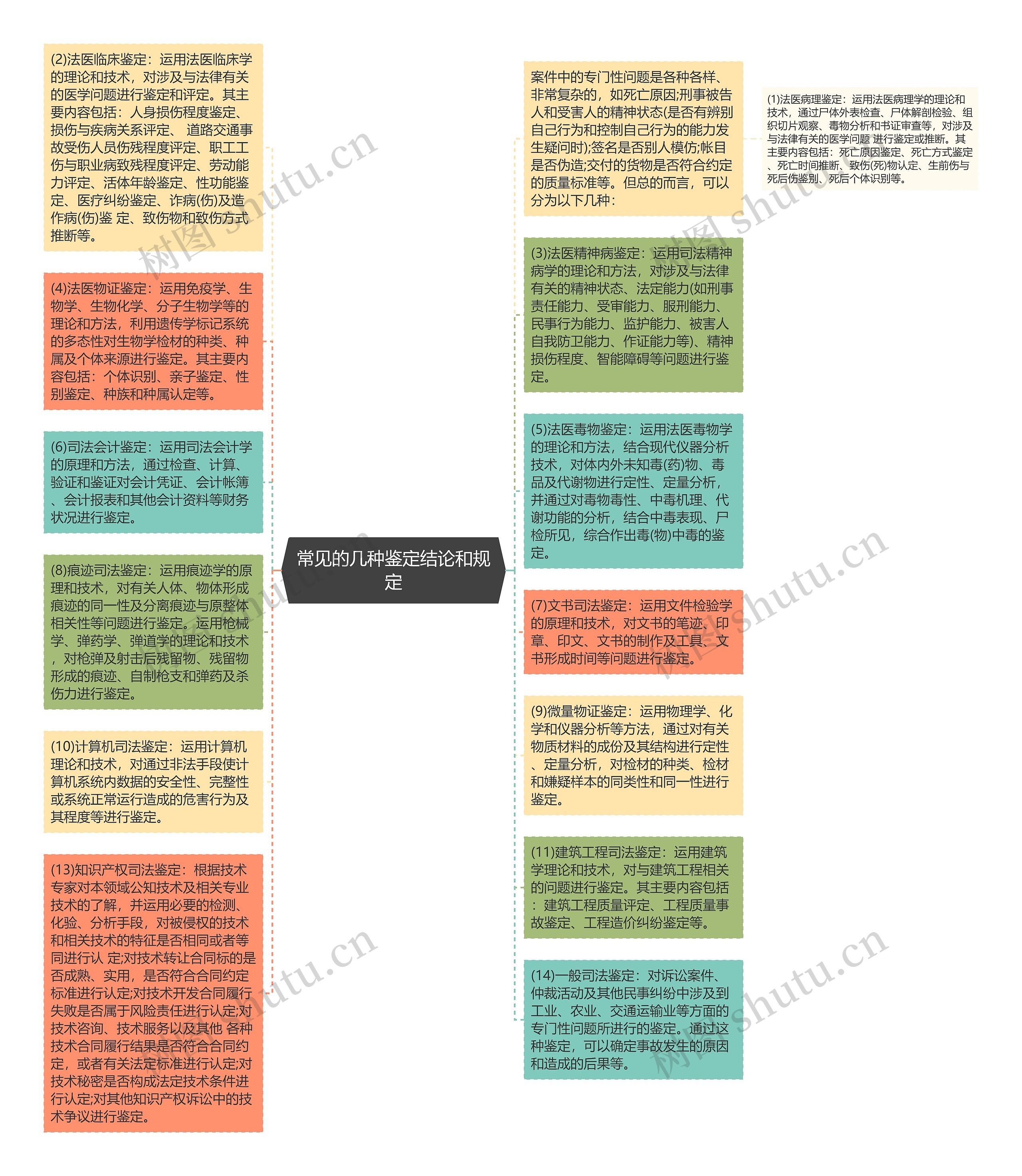 常见的几种鉴定结论和规定思维导图