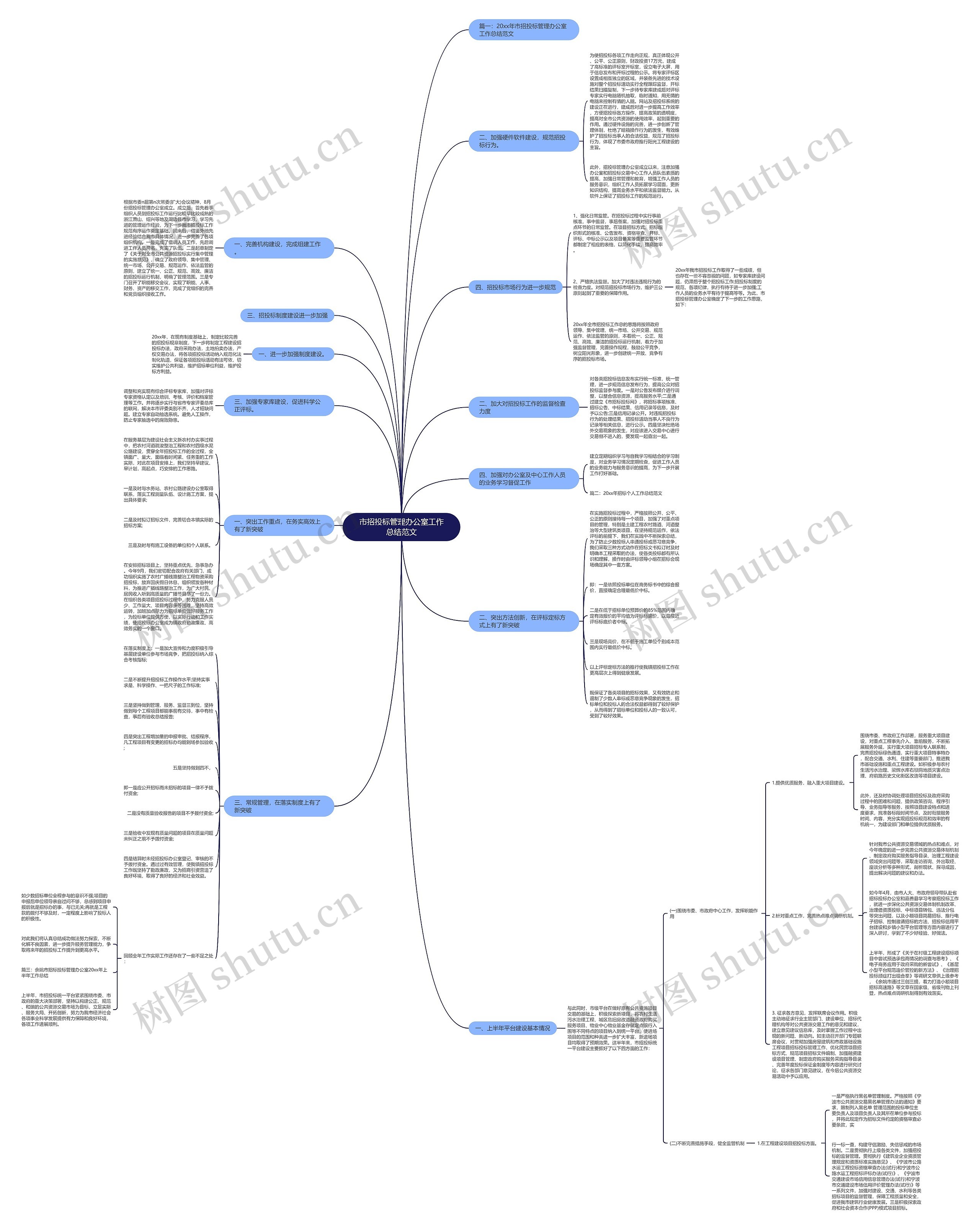 市招投标管理办公室工作总结范文思维导图